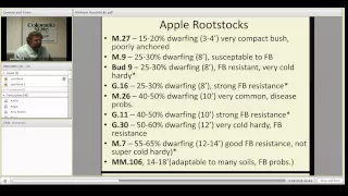 The Importance of Rootstock Selection when Growing Fruit Trees