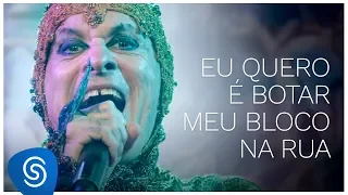 Ney Matogrosso - Eu Quero É Botar Meu Bloco na Rua (DVD Bloco na Rua) [Vídeo Oficial]