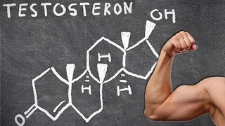 Как повысить уровень тестостерона у мужчин естественными способами