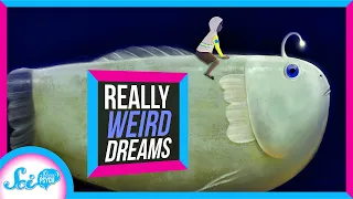 Why Is Everyone Having Vivid Dreams Right Now?