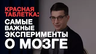 Эксперименты из «Красной таблетки». Встреча с участниками Академии смысла.