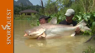 World Record Multi-species Fishery Gillham's Resort, Thailand 🎣