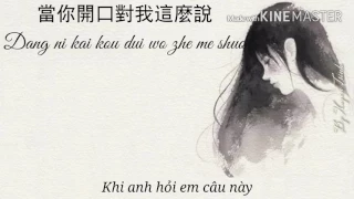 [Vietsub - Pinyin] Em Có Ổn Không? - Trương Huệ Muội | 你好不好 - 张惠妹