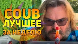 Coub лучшие за неделю | Best Coub