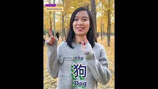 How to say 'Dog' in Chinese  | Learn with Ann