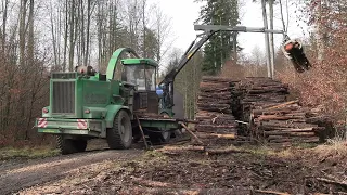 Biomasse Alzinger: Ein Albach Silvator beim Häckseln von Stammholz