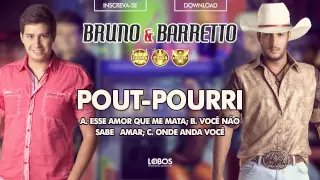 Bruno e Barretto - Pout Pourri - CD Farra, Pinga e Foguete (Áudio Oficial)