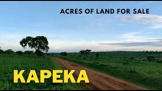 Acres of land for sale in Kapeka. UGX 9Million | Real Estate Uganda