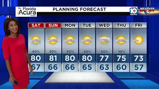 Local 10 News Weather: 02/04/22 Night Edition