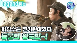 [Legend Entertainment] What's wrong with a RunningMan's giraffe kissing a giraffe? / Running Man