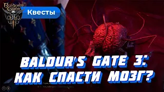 Мозг в начале Baldur's Gate 3: спасти или уничтожить