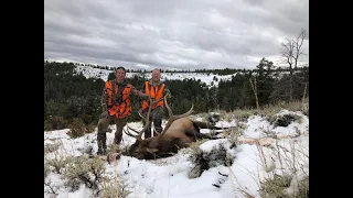 2020 Wyoming Public Land Elk Hunt