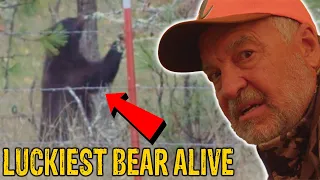 The LUCKIEST Black Bear in the World