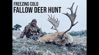 Texas Fallow Deer Hunt in an ICE STORM at Texas Hunt Lodge
