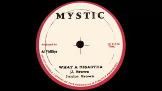 12'' Junior Brown - What A Disaster (& Dub)