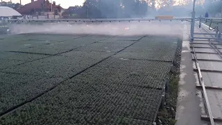 Захист сіянців від весняних заморозків