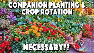 Companion Planting And Crop Rotation. Are They Necessary? You'll Be Surprised!
