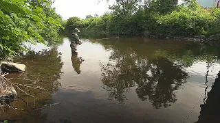 Fly Fishing the Battenkill River in Vermont