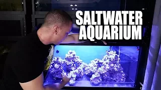 Saltwater aquarium setup - The scape