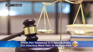 White Man Sentenced In Attack On Black Teen At Michigan Park