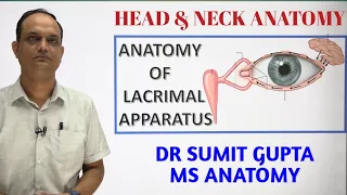 LACRIMAL APPARATUS