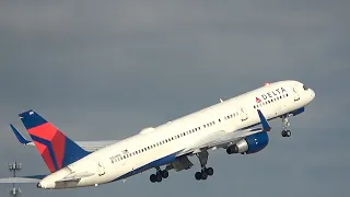 Plane Spotting in Paradise Tampa International Airport