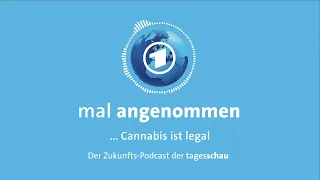 Cannabis ist legal? Was dann? | mal angenommen – tagesschau-Podcast