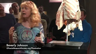 11. Fascial Net Plastination Project Team Tour: Fascial Consistency - Beverly Johnson