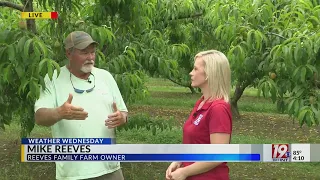 Weather Wednesday: Reeves Family Farm | May 22, 2024 | News 19 at 4 p.m.