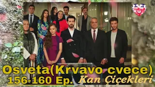 Kan Çiçekleri Episode 156-160 content with translation (Season 2)