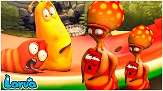 Larva Season 1 Episode 42 ~ 97 🍟 Larva Cartoons - Comics | Larva Official 🥟 Cartoon Comedy 2023