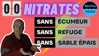 Une Mousse dans un bac récifal = nid à nitrates ?