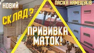 Перша прививка маток. Як ми збегрігаємо навощені рамки.