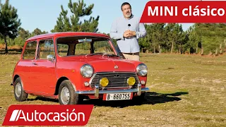 MINI 1275C de 1968: probamos el MINI español | Coches CLÁSICOS | Review en español | #Autocasión