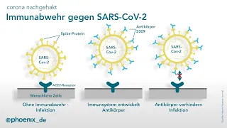 corona nachgehakt – „Was COVID-19 mit dem Immunsystem macht“ mit Prof. Joachim Schultze