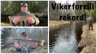 Uus vikerforelli rekord! New PB rainbow trout!