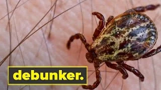 Top 3 Lyme Disease Myths | Debunker | NBC News