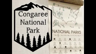 Congaree National Park | Is it really the Worst National Park?