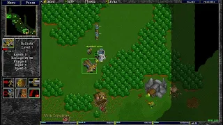 Warcraft 2 Garden of War 2v2 u8t3io3p/obituary vs cavalo/phreak[is]