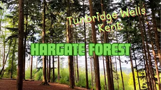 Hargate Forest - Tunbridge Wells, Kent