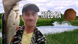 МАНКА С КОФЕМ / УДАЧНАЯ РЫБАЛКА / ДОЖДЬ / КАРАСЬ / ПЛОТВА /