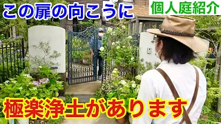 【生まれ変わったら】人々から紫陽花師匠と呼ばれる個人庭公開します　【カーメン君】【園芸】【ガーデニング】【初心者】【市川庭】