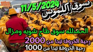 سوق حولي سبت اكلموس سعر الخروف البركي تمحضيت 11/5/2024في اكبر سوق بالمغرب 🇲🇦