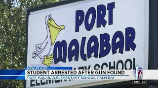 Police: Palm Bay student arrested for bringing gun to school