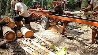 Ternyata‼️penggergajian kayu kelapa dan mahoni,di kira masih muda ternyata sangat bagus