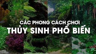 Thư viện Thủy Sinh - Các phong cách chơi Thủy Sinh phổ biến