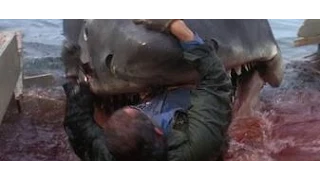 a parallel world - Quint kills the Shark!