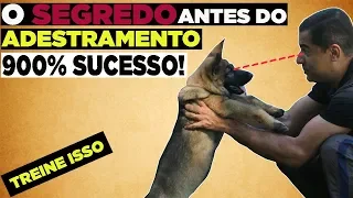 O SEGREDO QUE FAZEMOS ANTES DO ADESTRAMENTO, É SÓ SUCESSO