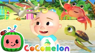 Finding Sea Animals at The Beach | Cocomelon | Kids Song | Toddlers cartoon show | Learning video