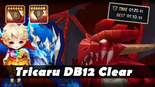 THE DB12 TRICARU TEAM AND HOW I BUILT IT | Summoners War